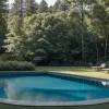 O căprioară căzută într-o piscină din Germania, salvată de un vânător