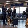Câinele vamal a descoperit cocaină și MDMA la autogara din Munchen