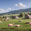 Situație inedită: Primarul unui oraș francez hrănește animalele fermierului care e la închisoare