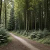 Germania: Cadavrul unei femei dispărute, descoperit de poliție după ce au căutat o bicicletă de copil. Soțul, arestat