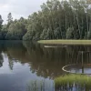 Alarmă în Germania: Un aligator căutat într-un bazin de retenție ar proveni dintr-o creștere ilegală