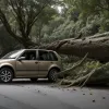 Miracol în Germania: O familie cu copil a supraviețuit după ce un copac uriaș a căzut peste mașina lor