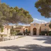 Marcel Remus, agentul imobiliar din Mallorca, oferă 10.000 € recompensă pentru informații despre vandali