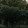 Bărbat bătut cu bestialitate într-un parc din Berlin, Spandau: Agresorul, prins de poliție în stare de ebrietate
