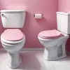 Un instalator a dezvăluit sexul gemenelor sale, trăgând apa la toaletă: Petrecerea inedită de gender reveal a devenit virală