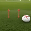 Săptămână crucială la Hamburg: Alegeri prezidențiale și mișcări în lot la HSV