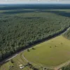 Germania: Saxonia vrea să defrișeze păduri echivalente cu 250 de terenuri de fotbal pentru eoliene și solare