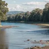 Cadavrul unui bărbat, descoperit în râul Elba lângă Haselau, Germania