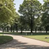 Invazie de omizi veninoase în Berlin: Omida processionară a stejarului provoacă probleme de sănătate și închiderea parcurilor