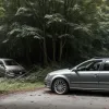 Accident în Germania: Un VW Passat a intrat într-un copac, doi răniţi uşor