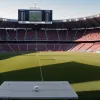 VfL Wolfsburg are antrenor nou: Olandezul Paul Simonis preia conducerea clubului