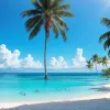 Reality show-ul "FBoy Island" ajunge pe Amazon Prime Video: Concept, concurenți și data lansării în Germania