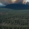 Incendii forestiere de proporții în Canada: Peste 31.000 de oameni evacuați, fumul a ajuns în SUA