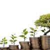 Economist șef explică: Contul de investiții care îți poate salva pensia