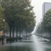 Seceta devine o problemă permanentă: Cercetătorii din Berlin propun "recoltarea apei de ploaie" în orașe