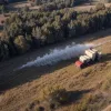 Incendiu de vegetație lângă Mainz, detectat de un pilot: Pompierii au acționat rapid și avertizează asupra riscului