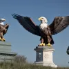Secretarul general desemnat al SPD Germania se opune personal reintroducerii serviciului militar obligatoriu