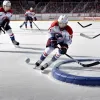 Fostul jucător NHL Lance Bouma s-a alăturat echipei germane Dresdner Eislöwen