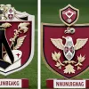 Semir Telalovic, noua achiziție a lui Nürnberg: 6 secrete despre atacantul venit de la Ulm