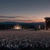 Rita Ora a încins atmosfera la Hamburg: Concert incendiar și apariție îndrăzneață