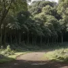 Amendă de până la 25.000 de euro pentru deșeuri vegetale aruncate ilegal: Autoritățile din Germania avertizează grădinarii