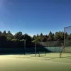 Alexander Zverev, în sferturi la Stuttgart: Victorie solidă și veste de familie