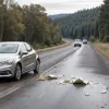 Văduvă acuzată de crimă în Germania: Și-ar fi omorât soțul milionar pentru moștenire de 5,3 milioane de euro