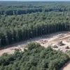 Pădurea de basm a fraților Grimm, sacrificată: 18 turbine eoliene uriașe distrug Reinhardswald