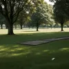 Altercație în parcul din Celle: Femeie s-a apărat cu cuțitul de un cunoscut beat, altcineva l-a lovit cu o sticlă