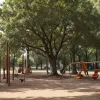 Tragedie în Germania: Un tată a fost ucis de o ramură căzută într-un loc de joacă, sub privirile copiilor săi
