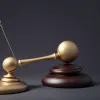 Bătălii judiciare în Germania: Deputați AfD împotriva Stângii din cauza acuzațiilor de imitare a Parkinsonului și insulte – instanțele au emis decizii diferite