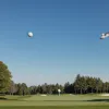 Incident tragic pe terenul de golf: Jucătorul a lovit mortal o pasăre în timpul filmării