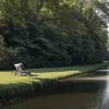 Moment de Groază în Germania: Căruciorul cu un bebeluș de 17 luni s-a rostogolit în canal, părinții au sărit imediat să-l salveze