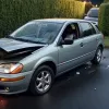 Accident rutier în Germania: Şoferul unei Skoda a lovit un gard viu şi a fugit de la locul faptei