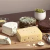 Mucegai pe brânză sau carne maronie: Când alimentele mai pot fi salvate și când trebuie aruncate?