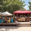 ZDF-Fernsehgarten pe 8 iunie: Cine sunt vedetele invitate în noua ediție?