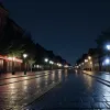 Un tânăr de 25 de ani, reținut în Oftersheim (Germania) pentru tentativă de tâlhărie și furturi din auto