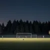 Jaf și agresiune pe un teren de sport în Germania: Un adolescent și tatăl său, victime la Weinheim