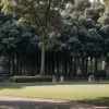 Descoperire macabră în Roma: Cadavrele unei femei și ale unui bebeluș, găsite într-un parc popular
