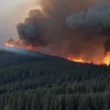 Incendiu forestier major în Harz, Germania: Vântul puternic extinde flăcările, 8 hectare afectate