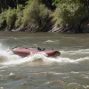 Râul Rin devine capcană mortală: trei persoane dispărute după accidente de înot în Germania