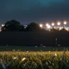 Bătaie brutală lângă un festival din Germania: Doi bărbați răniți, unul spitalizat