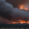 Incendiu forestier major în Harz: Pompierii se tem de schimbarea vântului, flăcările continuă să facă ravagii