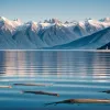 Fenomen ciudat în China: Sute de pești sar din lacul Dianchi într-un spectacol "ireal"
