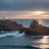 Avion cu șase persoane s-a prăbușit în Oceanul Pacific lângă coasta Californiei: căutările continuă