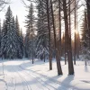Sportiva finlandeză Anni Lindroos a făcut coming out: "Acum sunt liberă"