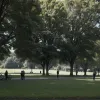 Hamburg: Un bărbat suspectat de agresiune sexuală în parc, arestat de poliție
