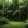 Sezonul 5 "7 vs. Wild" se mută în Amazonia: Cine sunt noii participanți care luptă pentru supraviețuire?