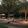 Tragedie în Heidelberg: Un tată a murit pe un loc de joacă, încercând să-și salveze fiica de o creangă căzută