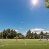 De la "atacant minune" la blocaj: Situația lui Jaka Cuber Potocnik la FC Köln, la 2 ani de la interdicția de transferuri